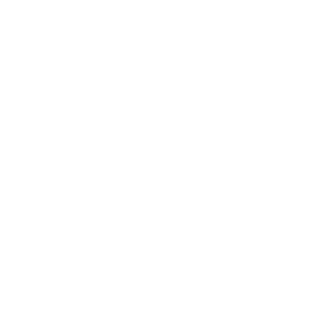VM Logo